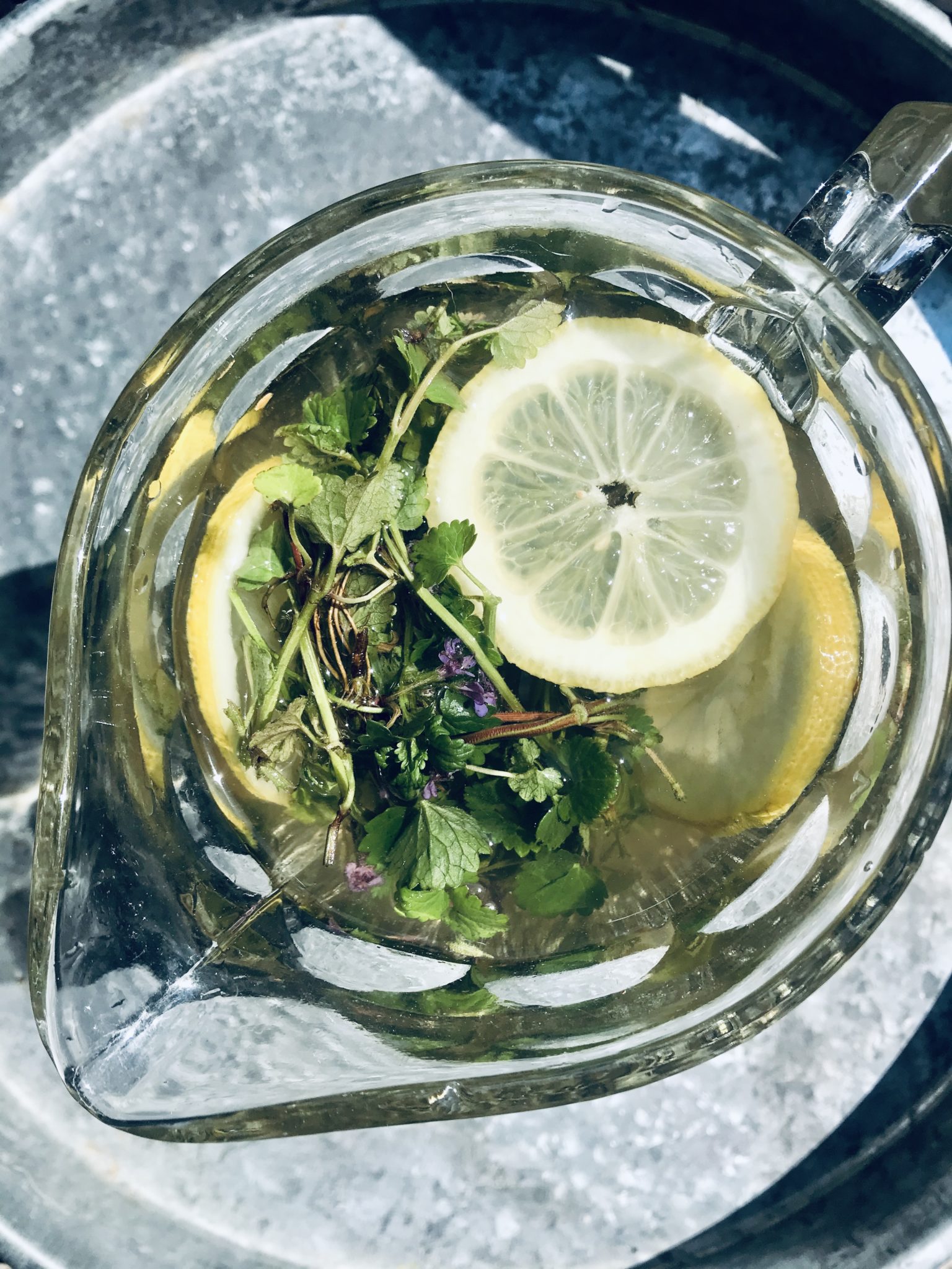 LECKER IM... Mai: Gundermann-Limo – Adebars Töchter